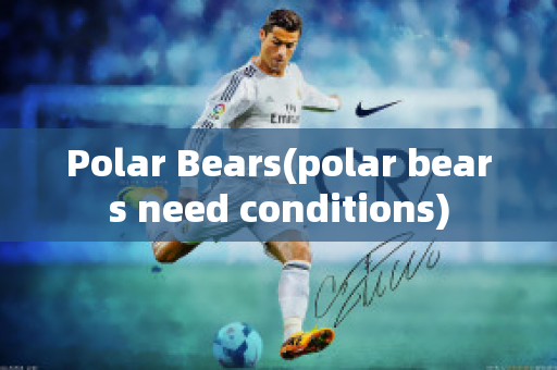 Polar Bears(polar bears need conditions)